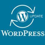 Leia mais sobre o artigo Serviço de Atualização do WordPress